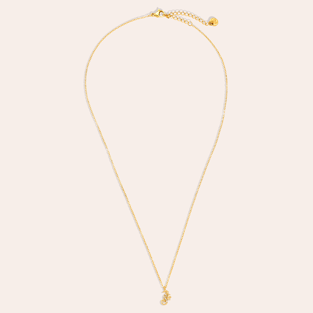 Edelstahl Halskette 40cm Diamond Sea Horse
