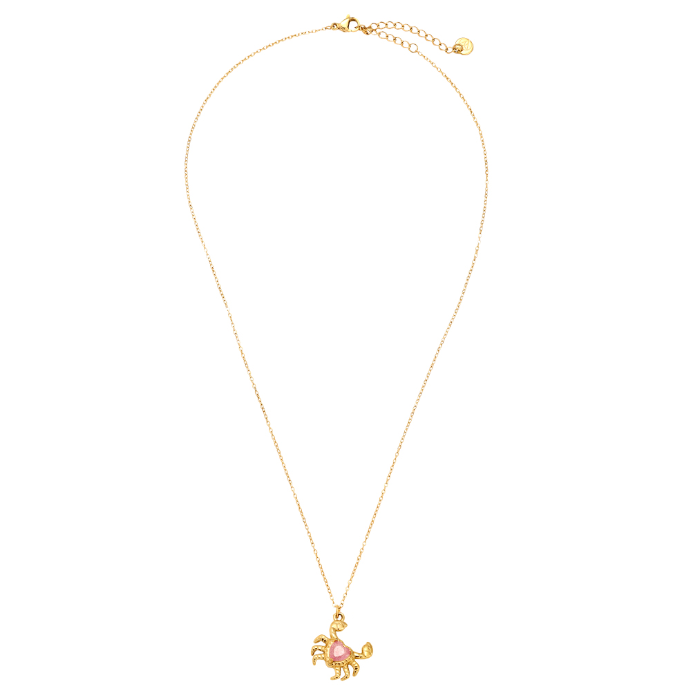 Edelstahl Halskette 43cm Crab And Diamond