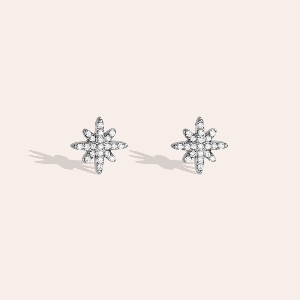 Edelstahl Ohrringe 10mm Zirkonia Achtstern