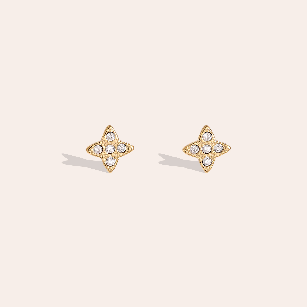 Edelstahl Ohrringe 5mm Feiner Zirkonia Kleeblatt