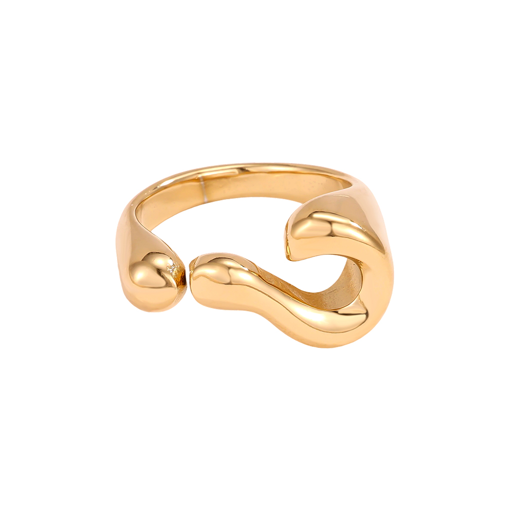 Edelstahl Ring Verstellbar geschwungene Form