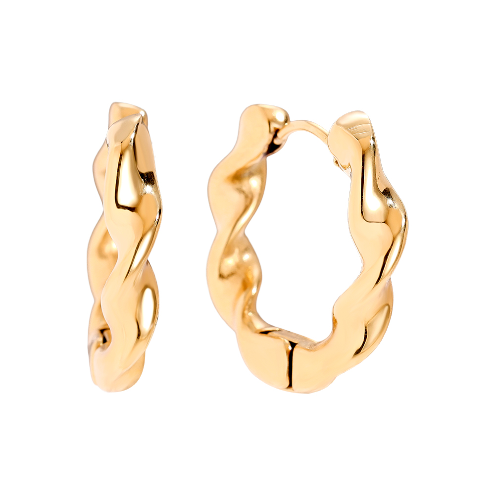 Edelstahl Ohrringe 2.5cm Classic Twist Hoop